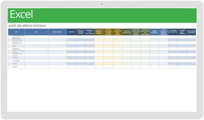 Modèle d'audit des médias sociaux
